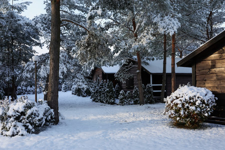 Winter landscape with wooden houses, trees and bushes in the morning