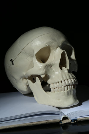 White human skull with book on black backgroundの写真素材