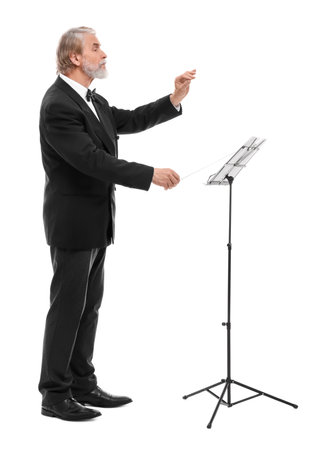 Professional conductor with baton on white backgroundの写真素材