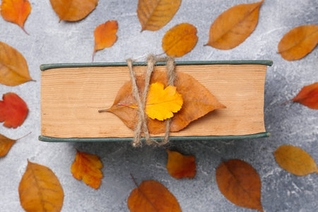 Book decorated with autumn leaves on light gray table, top view