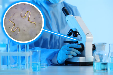 Laboratory worker using modern microscope to examine helminths, closeup. Zoomed view on parasitic...