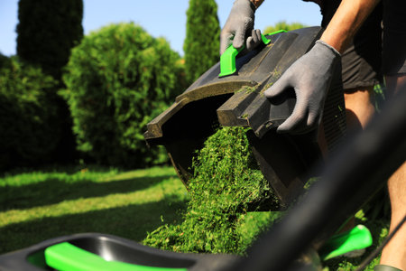 Man removing grass out of lawn mower box in garden, closeup