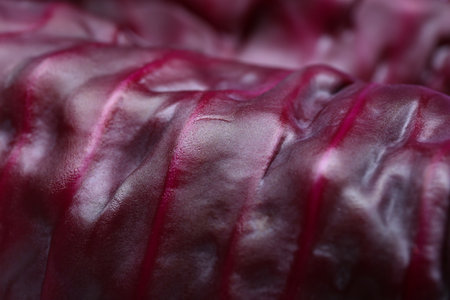 Fresh ripe red cabbage as background, closeupの写真素材