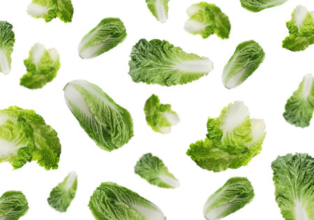 Many fresh Chinese cabbages falling on white backgroundの写真素材