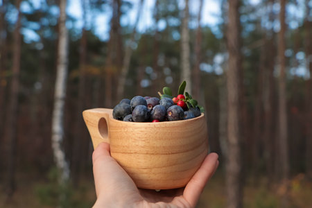 Woman holding wooden mug full of fresh ripe blueberries and lingonberries in forest, closeupの写真素材