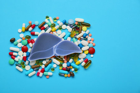 Paper liver and pills on light blue background, flat lay with space for text. Hepatitis treatmentの写真素材