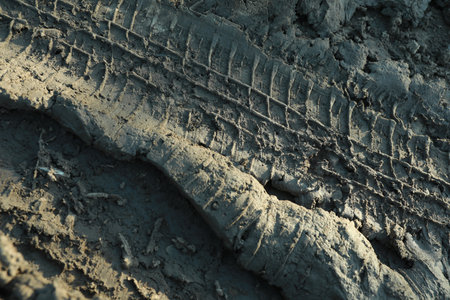 Ground mud with tire tracks as background, closeup