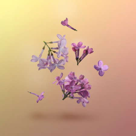 Beautiful lilac flowers falling on color backgroundの写真素材