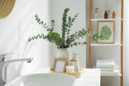 Vase with eucalyptus branches and toiletries near vessel sink in bathroom. interior designの写真素材