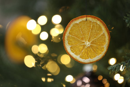 Dry orange slice hanging on Christmas tree, space for text. handmade decorの写真素材