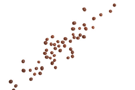 Chocolate sprinkles on white background. Decoration for donutsの写真素材