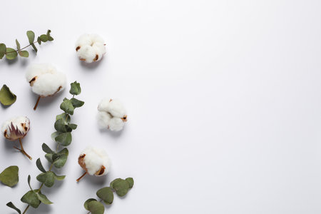 Fluffy cotton flowers and leaves on white background, flat lay. Space for textの写真素材