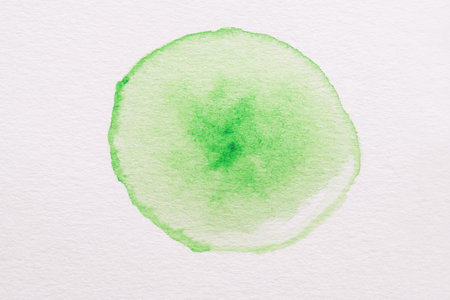 Green watercolor blot on white canvas, top viewの写真素材