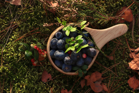 Wooden mug full of fresh ripe blueberries and lingonberries on green grass, top viewの写真素材