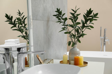 Beautiful plant in vase and burning candles near vessel sink on bathroom vanityの写真素材