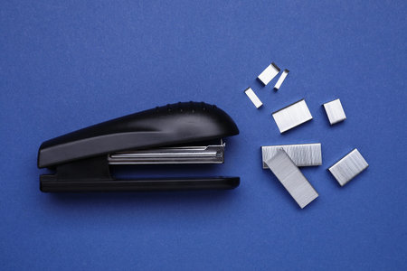New bright stapler with staples on blue background, fat lay. school stationeryの写真素材
