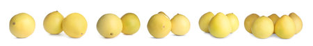 Set of fresh pomelo fruits on white backgroundの写真素材