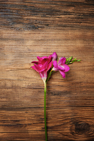 beautiful freesia on wooden backgroundの写真素材