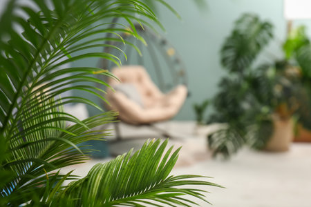 Tropical leaves in stylish interior designの写真素材