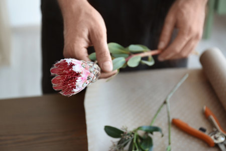 Male florist holding beautiful flower, closeupの写真素材