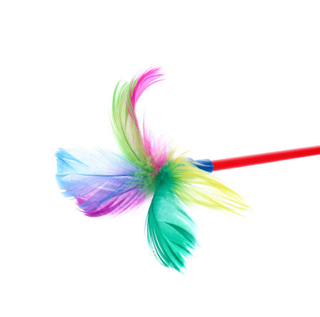 Feather wand for cat on white background. pet toysの写真素材