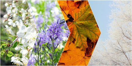 four seasons. Collage design with beautiful photos of natureの写真素材