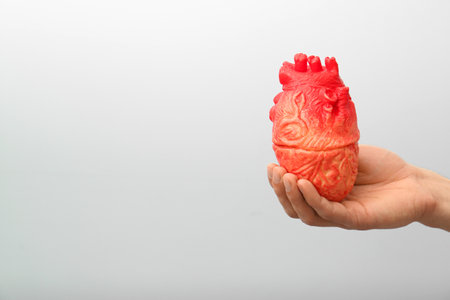 Man holding model of heart on light background. heart attack concept