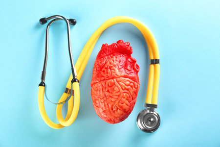 Stethoscope and model of heart on color background. heart attack conceptの写真素材