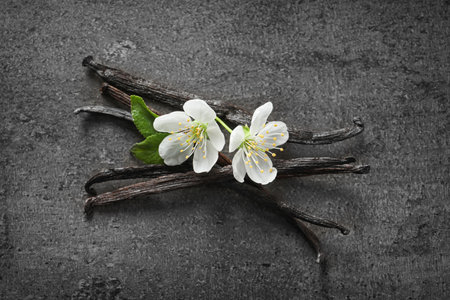 Vanilla sticks and flowers on gray background