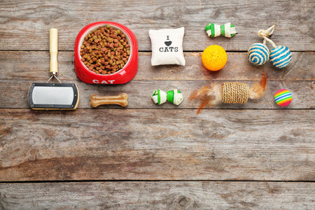 Flat lay composition with cat accessories and food on wooden backgroundの写真素材