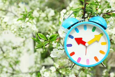 Alarm clock hanging on blossoming tree branch, outdoors. time change conceptの写真素材