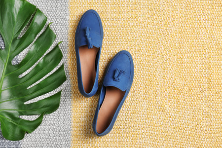 Pair of female shoes with green leaf on fabric, top viewの写真素材