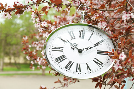 Retro clock hanging on blossoming tree branch, outdoors. time change conceptの写真素材