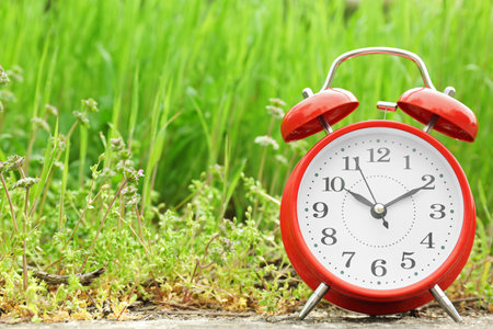 Alarm clock near green grass, outdoors. time change conceptの写真素材