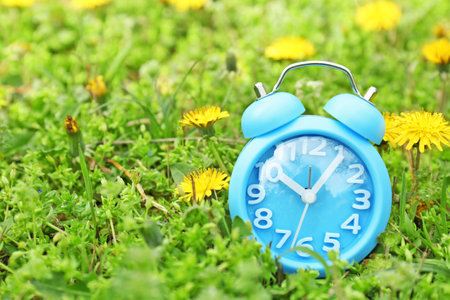 Alarm clock on green grass, outdoors. time change conceptの写真素材