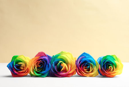 Rainbow rose flowers on table against color backgroundの写真素材