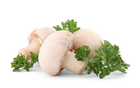 Green fresh parsley with mushrooms on white backgroundの写真素材