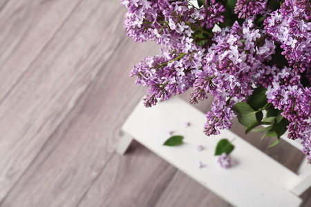 Blossoming lilac indoors. spring flowersの写真素材