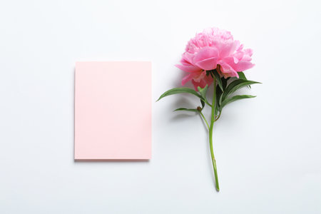 Beautiful peony flower and blank card on white backgroundの写真素材