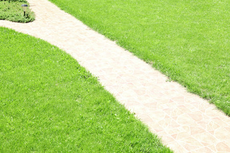 Green lawn in beautiful English style garden on sunny dayの写真素材