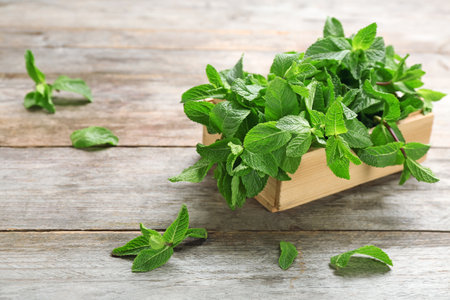 Wooden crate with fresh mint on tableの写真素材
