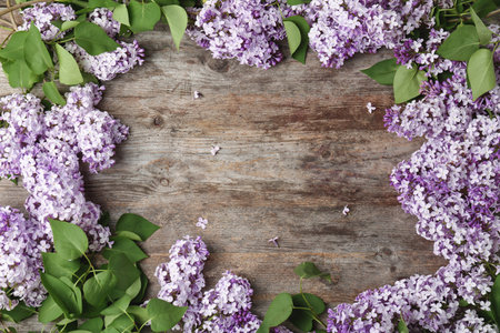 Blossoming lilac on wooden background, top view. spring flowersの写真素材