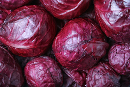 Ripe red cabbage as backgroundの写真素材