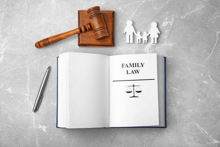 Flat lay composition with book and gavel on light background. family law conceptの写真素材