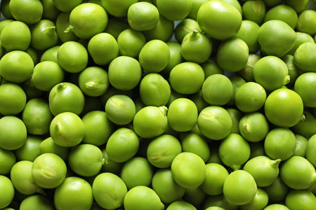 Many fresh green peas as background, top viewの写真素材