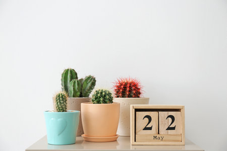 Beautiful cacti on table against light backgroundの写真素材