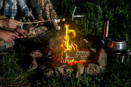 Friends frying marshmallows on bonfire at night, closeup. camping seasonの写真素材