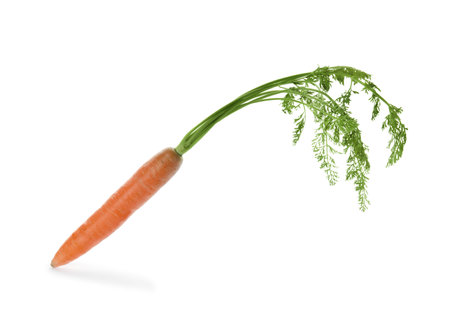 Ripe carrot on white background. healthy dietの写真素材
