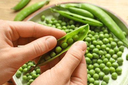 Woman shelling green peas over plate, closeupの写真素材
