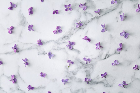 Flat lay composition with beautiful blossoming lilac on light background. spring flowersの写真素材